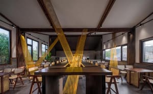 A cozy restaurant dining area with a large wooden table surrounded by chairs, a potted plant, and inviting atmosphere