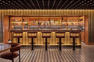 A well-stocked bar with a long wooden counter and multiple stools, creating a sophisticated and inviting atmosphere for socializing and enjoying drinks
