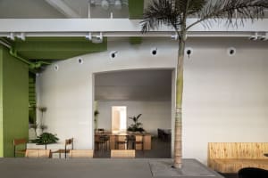 A cozy restaurant with multiple chairs and tables, potted plants, and a warm atmosphere