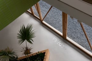 A bright and welcoming indoor space with potted plants and a bench, surrounded by sunlight and a large window