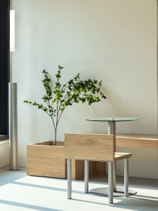 Warm interior space with a wooden table, potted plants, and a vase, creating a cozy atmosphere