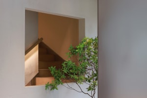 A wooden staircase with a potted plant on one step, set against a calm background