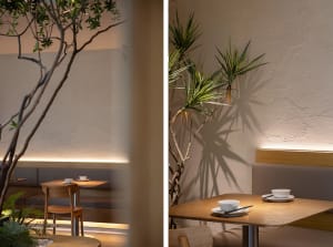 Cozy dining area with wooden tables and chairs, a potted plant, and a warm atmosphere
