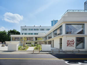 Modern building with a white concrete facade, large window, and potted plants, bathed in natural light
