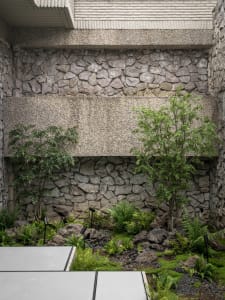 A serene indoor space with a stone wall covered in plants, a bench, and multiple potted plants of various sizes