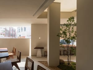 Inviting restaurant dining space with chairs, a dining table, and potted plants