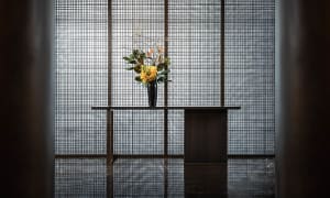 A calm office space with a wooden desk, a vase of flowers, and two potted plants, adding a touch of nature to the workspace