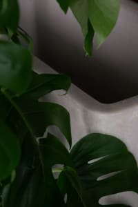 A modern room with a large white vase filled with green leaves, set against a well-lit background