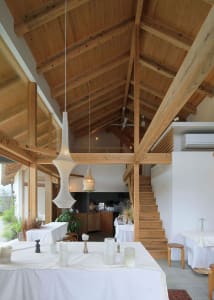Warm and inviting restaurant interior with wooden elements, tables, chairs, and potted plants, perfect for dining