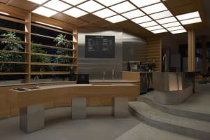 A modern restaurant counter with two sinks and a menu board, surrounded by potted plants in a clean and well-organized space