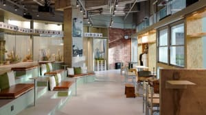 A spacious restaurant with benches and dining tables, inviting atmosphere, and comfortable seating options
