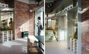 A modern building entrance with glass walls and steps, well-lit by natural sunlight