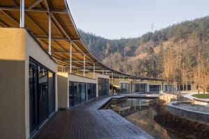 Modern lobby with a wooden structure, multiple rooms, and natural light from several windows