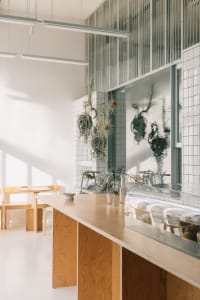 A modern dining space with a large wooden table and chairs, surrounded by potted plants, creating a warm and inviting atmosphere