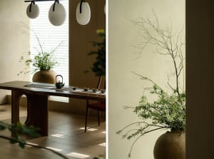A 2D floor plan of a cozy living space with a dining area, featuring a table and chairs, surrounded by potted plants and decorative elements