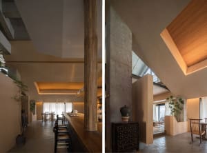Warm and inviting living area with a dining table, couch, and potted plant, featuring a vaulted ceiling with wooden beams and natural light from windows