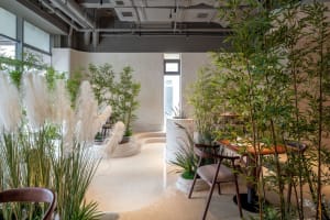 A modern living area with a dining table, chairs, and potted plants, surrounded by a window and well-lit