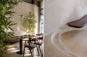 Modern dining space with a wooden table, chairs, and a potted plant, as seen in a floor plan layout