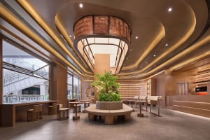 A large open retail space with a high ceiling, potted plants, and chairs for customers to sit and relax