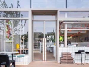 Inviting restaurant space with a wooden floor, chairs, and a potted plant, perfect for dining or coffee