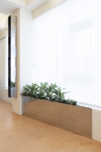 A calm and inviting indoor space with a large window, white curtains, and several potted plants adding a touch of greenery