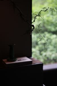 A living area with a green vase, potted plants, and a book on a table near a window, creating a cozy atmosphere