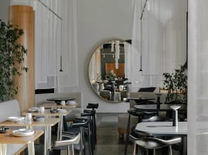 Modern restaurant interior with dining area, tables, chairs, and potted plants, featuring a comfortable and inviting atmosphere