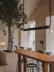 a modern restaurant interior with a large wooden dining table, chairs, potted plants, and warm-toned walls
