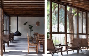 Dining area with wooden chairs and tables, potted plants, and a warm atmosphere