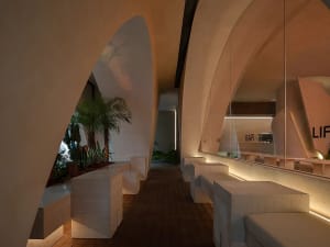 A modern restaurant with a curved ceiling, white walls, and potted plants, featuring a large dining table and multiple chairs