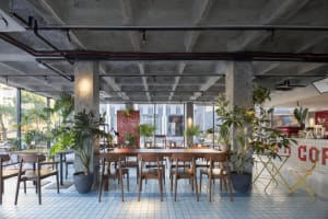 Modern restaurant interior with a large dining table, red accent, and potted plants, surrounded by chairs in a warm and inviting atmosphere