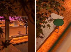 A restaurant interior with green and white tables, chairs, and potted plants, creating a cozy atmosphere for dining