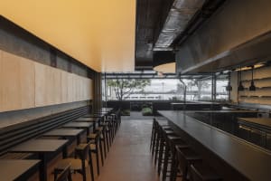 A modern restaurant interior with a large dining area, potted plants, and comfortable seating