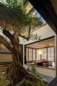 A cozy living area with a dining table, potted plants, and a vase, lit by natural light from a window