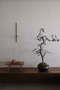 A small room with a wooden table, a potted bonsai tree, and a vase with flowers, creating a calm and serene atmosphere
