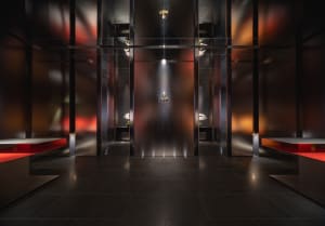 A modern hallway with a black tile floor, glass door, and potted plants, creating a sophisticated atmosphere with natural light