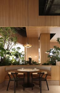 Dining area with a wooden table, chairs, and potted plants creating a warm and inviting atmosphere