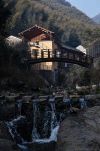 A wooden bridge crossing over a stream, surrounded by birds in a peaceful natural environment