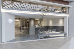 Inviting restaurant with natural light, chairs, and potted plants