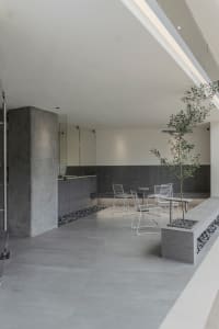 Comfortable living space with chairs, a dining table, and a potted plant, creating a warm and inviting atmosphere