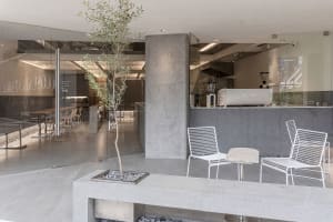 A cozy cafe with comfortable seating, including chairs and couches, and a potted plant adding a touch of greenery
