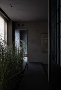 A dimly lit hallway with a doorway, two potted plants, and a mysterious atmosphere
