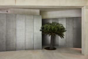 A modern space with a large palm tree in a pot surrounded by concrete walls, blending traditional and modern elements