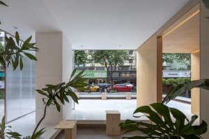 A well-lit interior space with a bench, potted plants, and two benches, creating a comfortable and inviting atmosphere