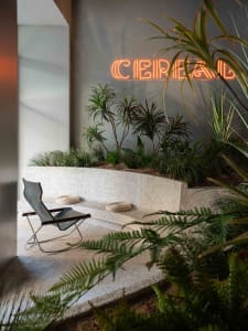 An industrial space with a large white wall featuring a neon sign reading 'Cereal', two chairs, and three potted plants adding a touch of greenery