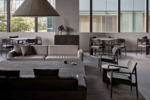 A living area with a couch, chairs, tables, and a dining table, featuring a potted plant and ample seating options for relaxation or socializing