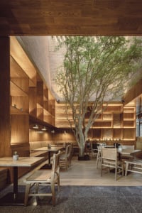 Warm and inviting restaurant interior with wooden floors, tables, chairs, and a central tree, offering multiple seating options