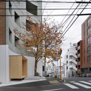 A quiet urban street scene with a fallen tree in front of a building, surrounded by other trees and a calm atmosphere