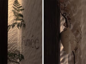 Cozy living and dining space with a mix of white and brown tones, plants, a tree branch, and a book, creating a warm atmosphere