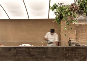 A man works in a kitchen with a sink, potted plants, and bottles, surrounded by kitchen equipment and countertops